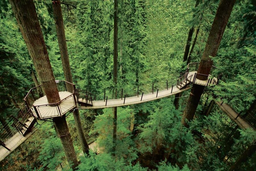 Grouse Mountain, Capilano Bridge & Fish Hatchery Tour - Who this tour suits best (and who should consider another plan)