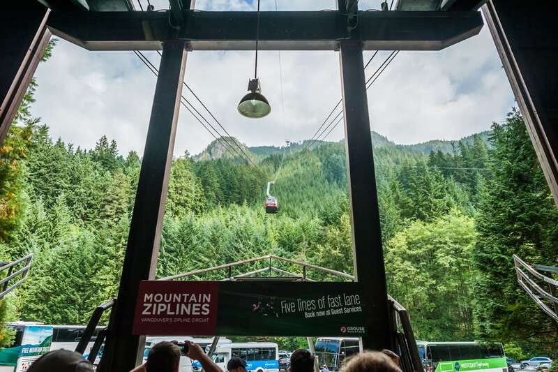 Grouse Mountain, Capilano Bridge & Fish Hatchery Tour - North Shore in One Half-Day Loop: Lions Gate to the Wilderness