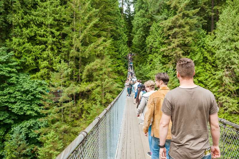 Grouse Mountain, Capilano Bridge & Fish Hatchery Tour - Capilano Suspension Bridge Park: Cliffwalk, Treetops, and the Story Centre