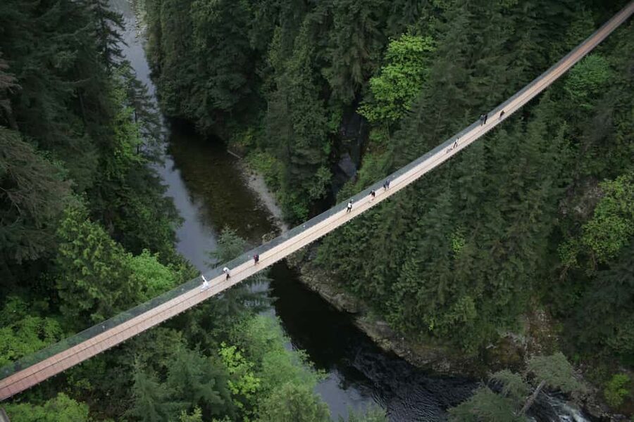 Grouse Mountain, Capilano Bridge & Fish Hatchery Tour - Capilano River Fish Hatchery: learning the salmon life cycle in 20 minutes