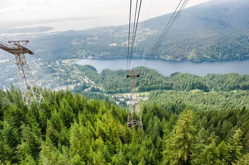 Grouse Mountain, Capilano Bridge & Fish Hatchery Tour - Hotel pickup and a realistic pace (390 minutes that actually fit)