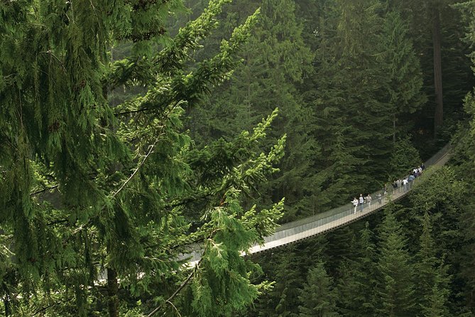 Grouse Mountain & Capilano Bridge Tour with Fish Hatchery - Pickup, timing, and the details that can trip you up