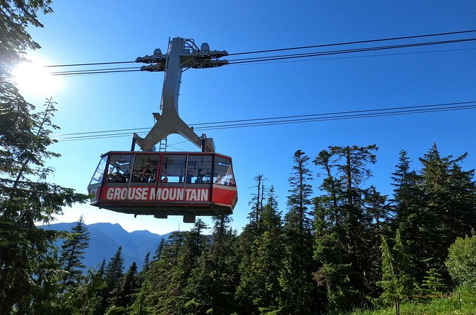 Grouse Mtn Stanley Park Hatchery Cleveland Dam Lynn Canyon Tour - Price and logistics: what you get for $148.75