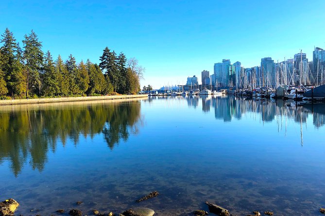Guided Sightseeing Tour in Vancouver, Shannon Falls and Whistler - Brackendale Eagle Reserve: bald eagle viewing that’s seasonal
