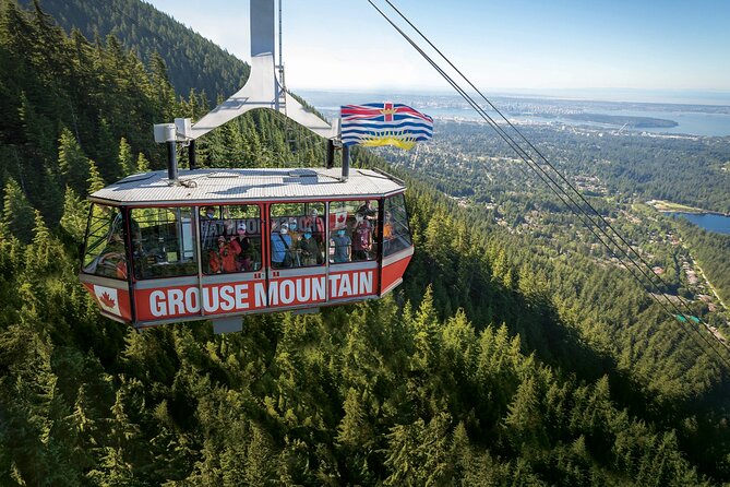 Guided Vancouver Hiking Highlights Day Tour with Gondola Download - Why this Vancouver day mixes icons with real trail time
