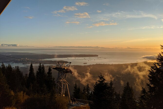 Guided Vancouver Hiking Highlights Day Tour with Gondola Download - Top of Grouse Mountain: bears, shows, and free time that’s actually useful