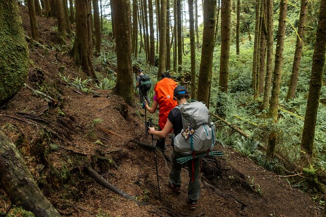 Guided Vancouver Hiking Highlights Day Tour with Gondola Download - Value check: what $134.13 buys you (and what to budget for)