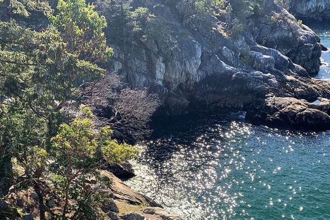 Half-day Hike and Bike Tour in Vancouver - Is $131.13 a good deal for four hours of two big parks?