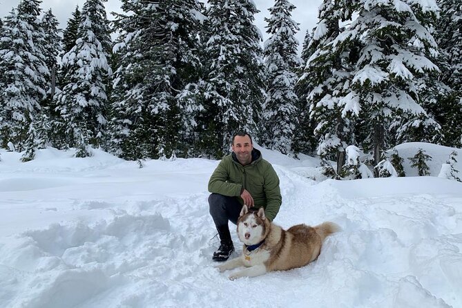 Husky Hikes Private Mountain Tours - The Snowy Trail Plan: From Incline to Viewpoint and Back