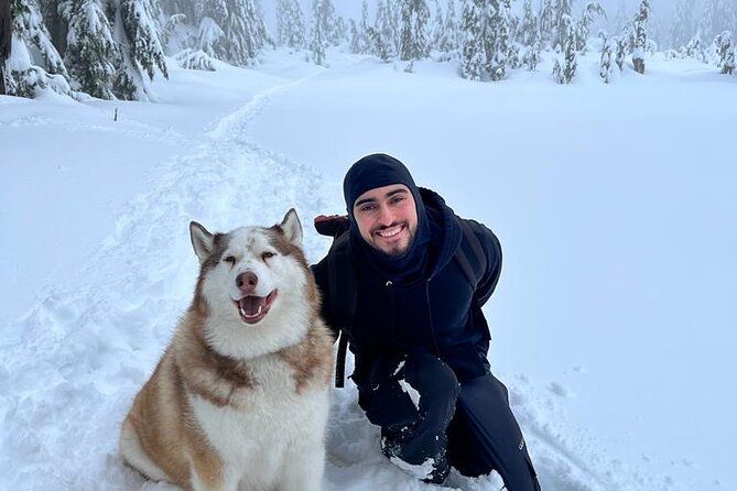 Husky Hikes Private Mountain Tours - Private Transportation That Actually Saves You Energy