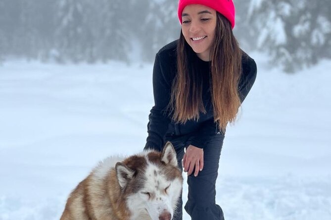 Husky Hikes Private Mountain Tours - Photography and View Timing: Why This Winter Route Works