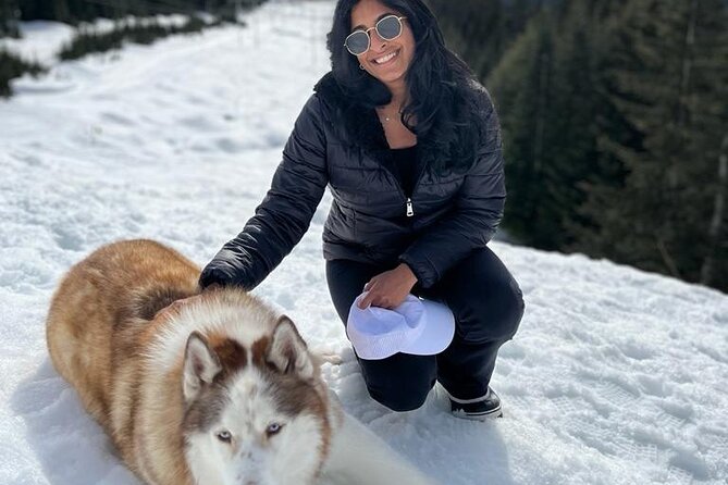 Husky Hikes Private Mountain Tours - Timing, Days, and How to Slot It Into a Vancouver Day