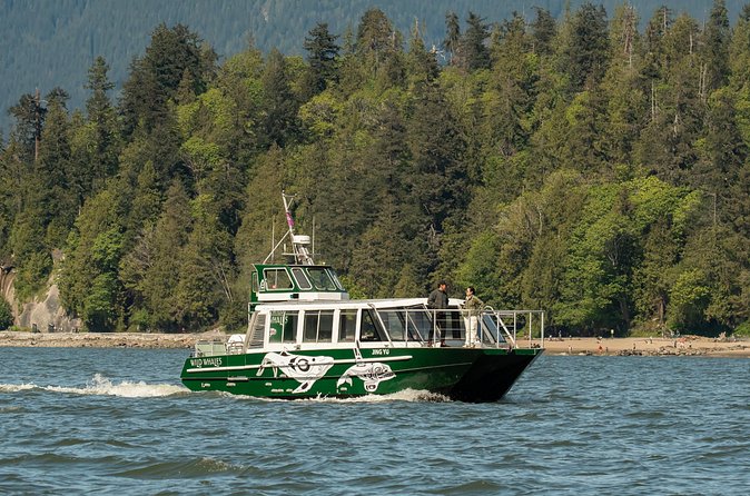 Intimate West Coast Whale Watching - Partly-Sheltered - How the Wildlife Crew Makes the Trip Feel Personal