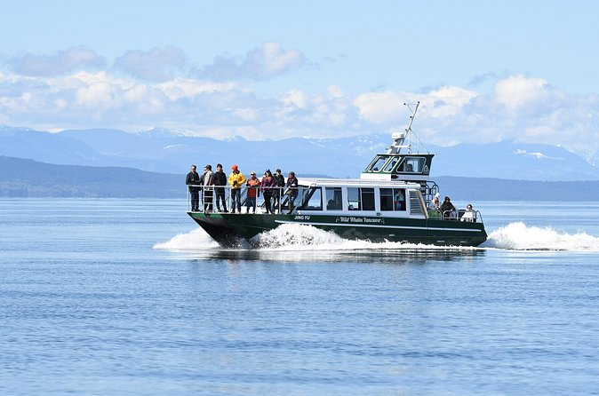 Intimate West Coast Whale Watching - Partly-Sheltered - Who This Tour Fits Best (and Who Might Prefer Something Else)