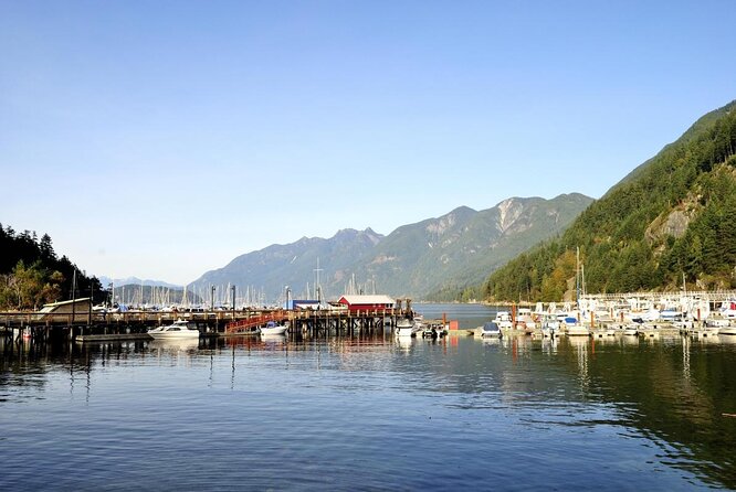 Lighthouse Park Hiking / Horseshoe Bay Discovery Tour - Getting from downtown to the coast without the hassle