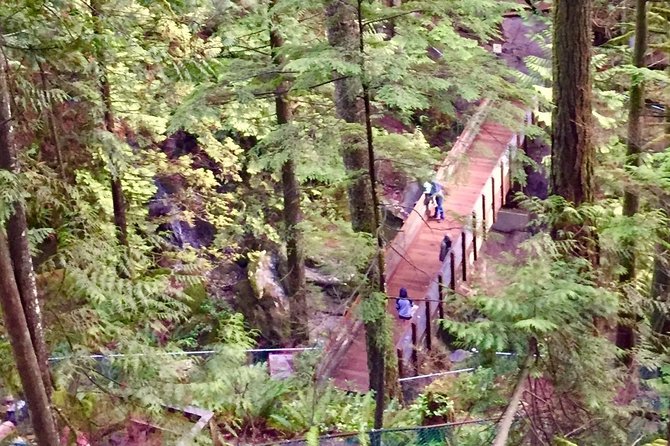Mesmerizing Nature Walk in Lynn Canyon Park - Timing matters: the 8:00 am start is a feature, not a bug