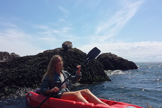 Morning Kayak & Seal Cruise in Vancouver - Key things that make this tour worth your time