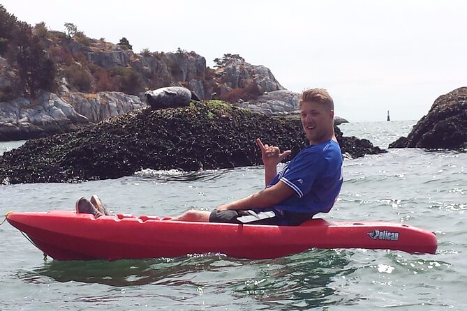Morning Kayak & Seal Cruise in Vancouver - Kayak or stand-up paddle board: choosing your comfort level