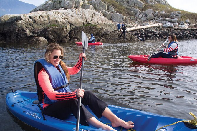 Morning Kayak & Seal Cruise in Vancouver - Snowy mountains from the water: why the views matter here
