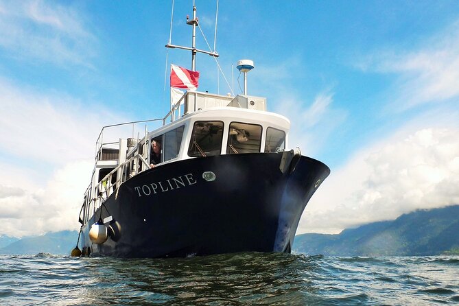 Morning Kayak & Seal Cruise in Vancouver - Warm tea and coffee: the small finish that makes a big difference