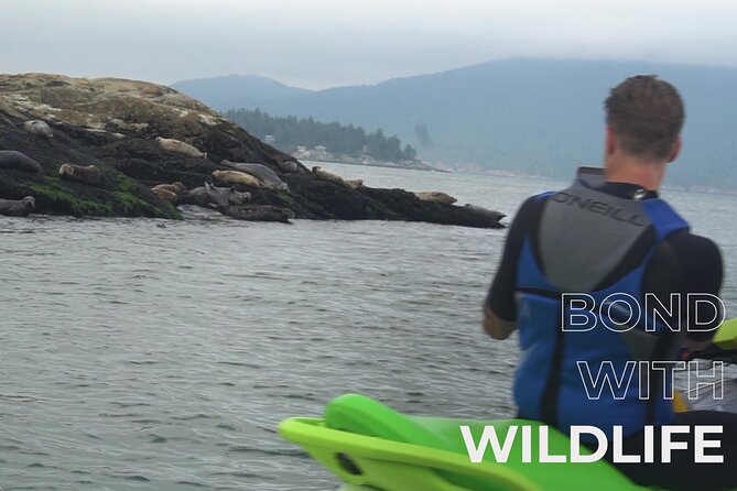 Ocean is Yours Seadoo Experience from Vancouver - Clothing and gear: what to bring so the dock chaos doesn’t happen