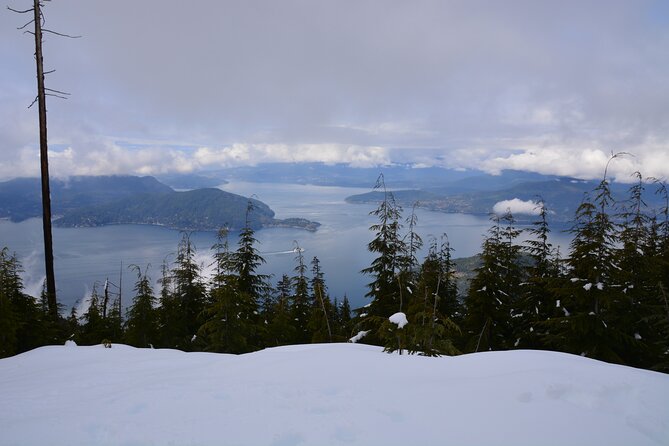 Photography & Advanced Hiking - Shannon Falls Provincial Park: a short stop that resets your legs