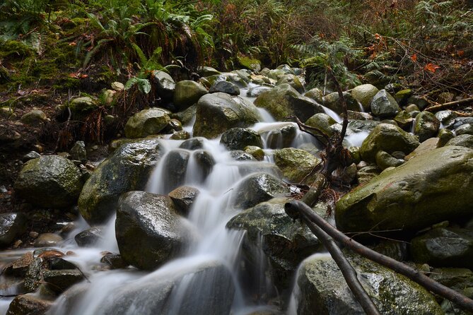 Photography, Gondola & Snowshoeing - Shannon Falls Provincial Park: an easy win for waterfall shots