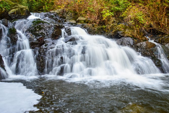Photography, Hiking & Ferry to Bowen Island - A Ferry Ride With a Photo Lesson Built In