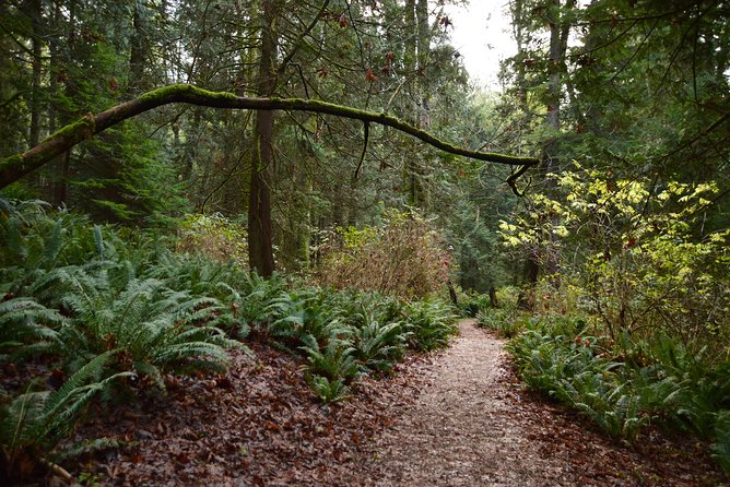 Photography, Hiking & Ferry to Bowen Island - Bowen Island Visitor Centre: Where the Walk Becomes a Photo Plan