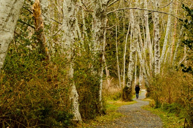 Photography, Hiking & Ferry to Bowen Island - Gear, Coaching Style, and Who This Tour Fits Best