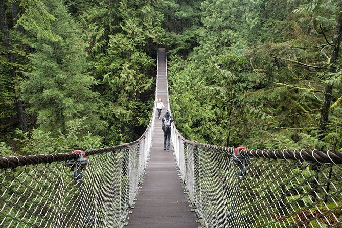 Photography in Rainforest & Suspension Bridge - Lynn Canyon in a half-day: what you actually get