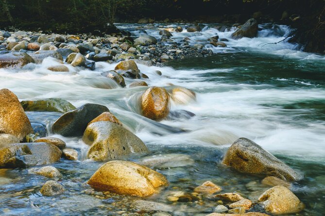 Photography in Rainforest & Suspension Bridge - How the photo instruction actually improves your results