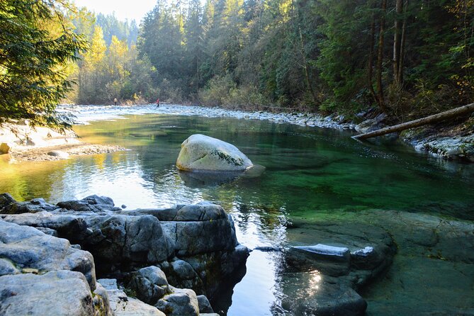 Photography in Rainforest & Suspension Bridge - Price and value: does $86.08 make sense for this kind of day?