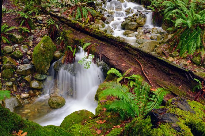 Photography & Intermediate Hiking - Quarry Rock Hike: The Views Come With Stairs