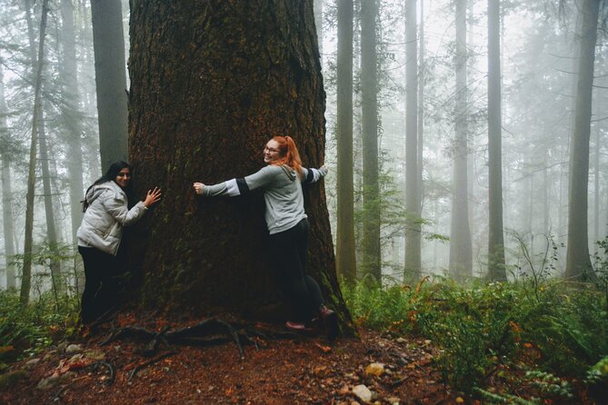 Photography & Intermediate Hiking - What the Guide Adds: Nafees’ Pace and Photo Coaching