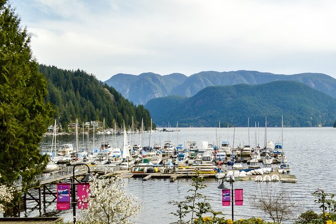 Photography & Intermediate Hiking - Enter Deep Cove: Old-Growth Forest to Ocean Lookouts