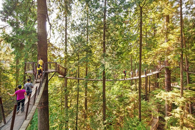 Post-Cruise Shore Excursion: Capilano Suspension Bridge & Grouse Mountain - Lions Gate Bridge and Burrard Inlet Views: First Narrows Worth the Camera Time