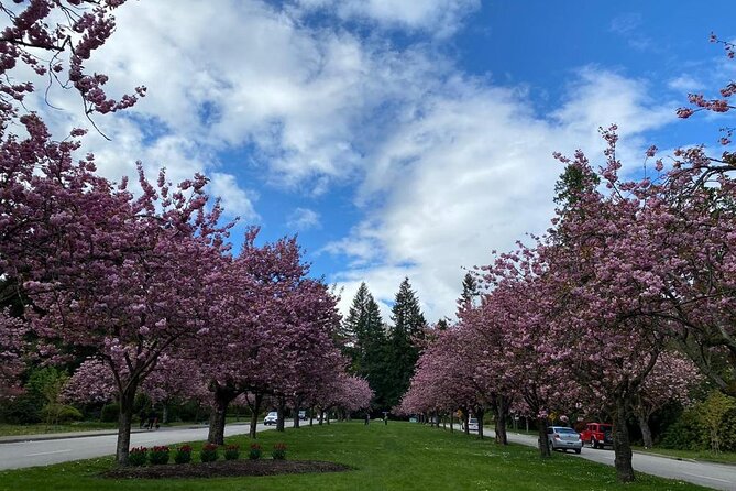 Private Guided Grand City Tour in Vancouver with your luggage - West Vancouver’s British Properties and the Edgemont stop with ocean views