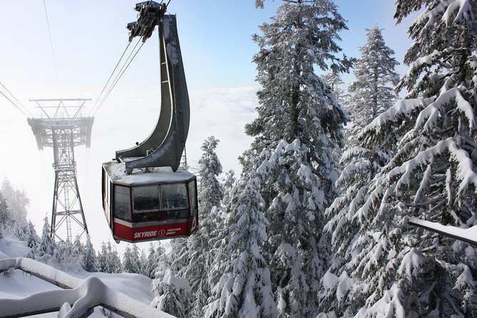 Private Tour: Capilano Suspension Bridge and Grouse Mountain - A tight 5-hour plan that hits rainforest and alpine