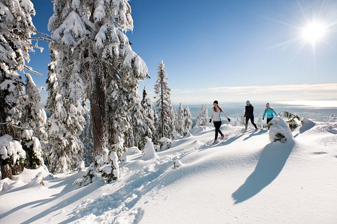 Private Tour: Capilano Suspension Bridge and Grouse Mountain - Pickup, Stanley Park, and the Lion’s Gate Bridge drive