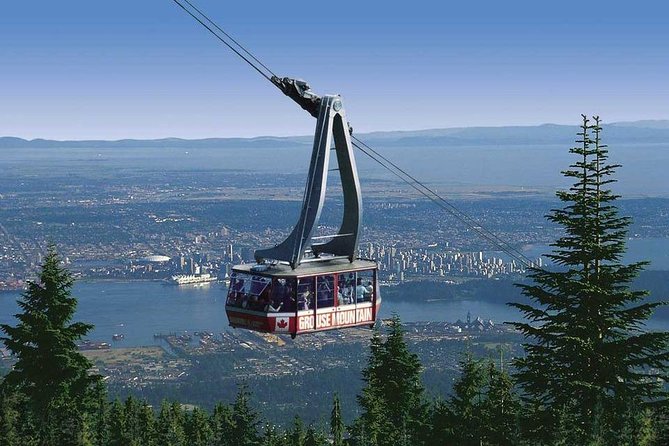 Private Tour: Capilano Suspension Bridge and Grouse Mountain - Capilano Suspension Bridge Park: treetops, a major bridge crossing, and Cliffwalk