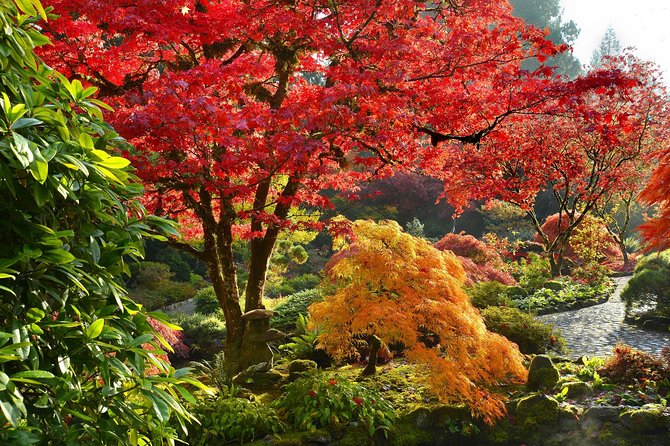 Private Tour: Gardens of Vancouver - Dr. Sun Yat-sen Classical Chinese Garden and Chinatown walk