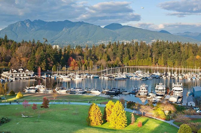 Private Tour: Vancouver Sightseeing and Capilano Suspension Bridge - Gastown and Chinatown: two different kinds of energy