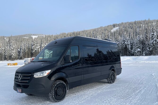 Private Transfer Between Vancouver Cruise and Seattle Airport - Private cruise-to-SeaTac transfer: the big idea