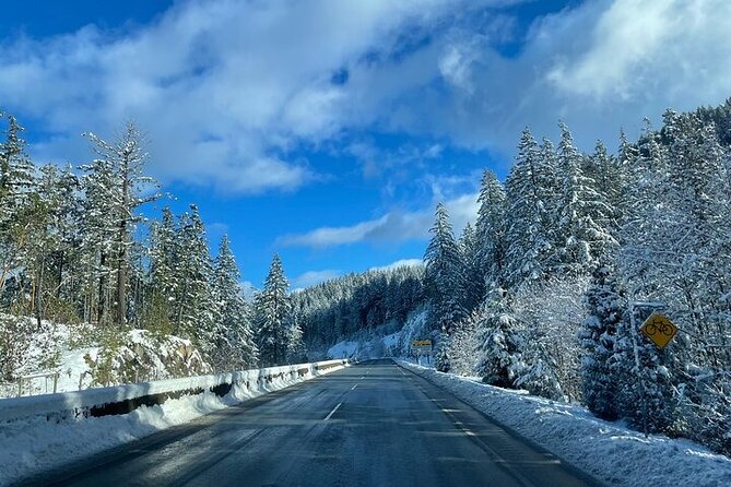 Private Transfer Between Vancouver Cruise and Seattle Airport - Comfort details that matter on cruise-to-airport days