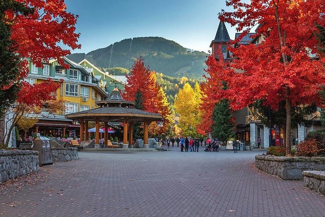 Private Whistler Day Trip from Vancouver - A private Whistler day that trades stress for scenery