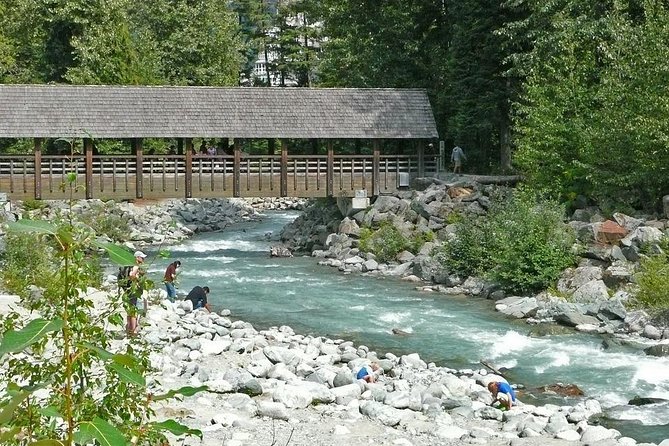 Private Whistler Day Trip from Vancouver - Whistler Village in about 4 hours: pick your priorities