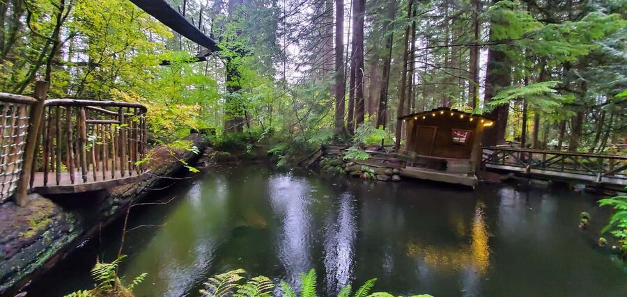 PrivateTour Capilano Br+Granville Islan+Hatchery+Lynn Canyon - Weather, Clothing, and What to Bring (Rain, Shine, Snow)