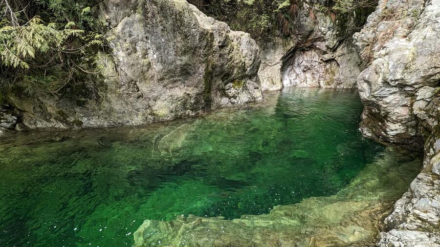PrivateTour Capilano Br+Granville Islan+Hatchery+Lynn Canyon - Capilano River Hatchery and the Salmon Life Cycle