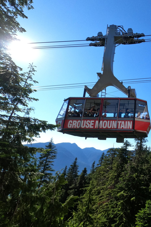 PrivateTour Capilano Br+Granville Islan+Hatchery+Lynn Canyon - How the Pickup, Small-Group Sizes, and Private Vehicle Work